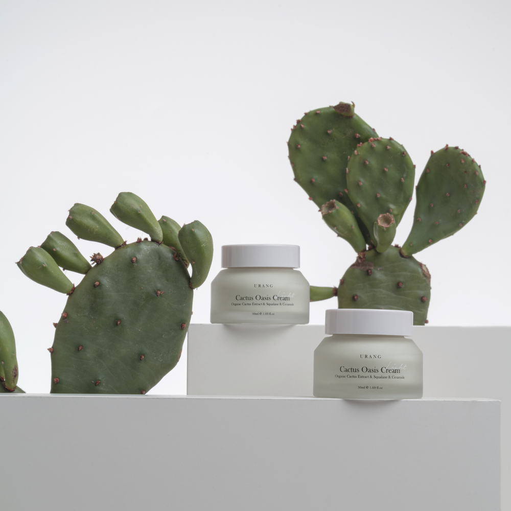 Cactus Oasis Cream