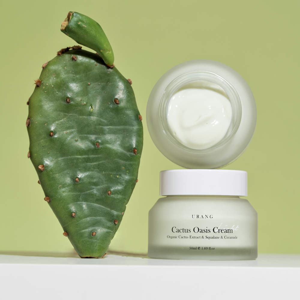 Cactus Oasis Cream